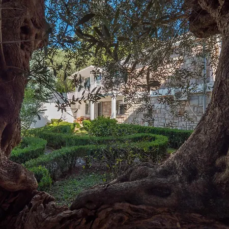 Tomy Garden House Apartment Budva Exterior photo