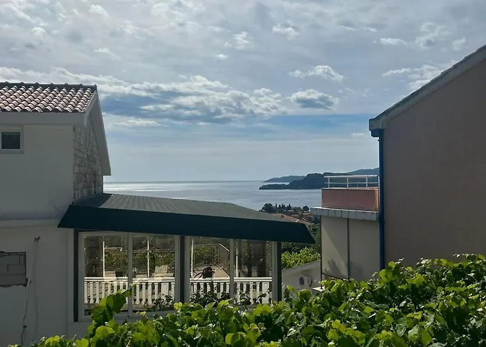 Tomy Garden House